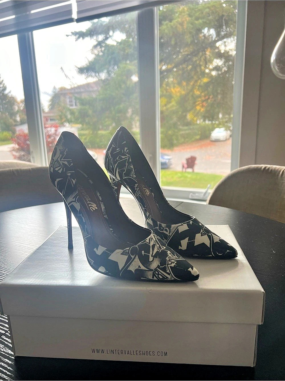 L’intervalle Printed Pointed-Toe Heels in Black & White Like New